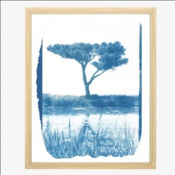cyanotypes encadrés disponibles à l'atelier photo à Bages