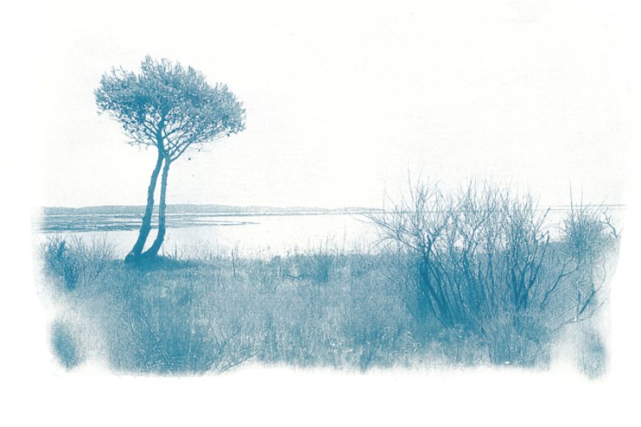 photographie-paysage-cyanotype