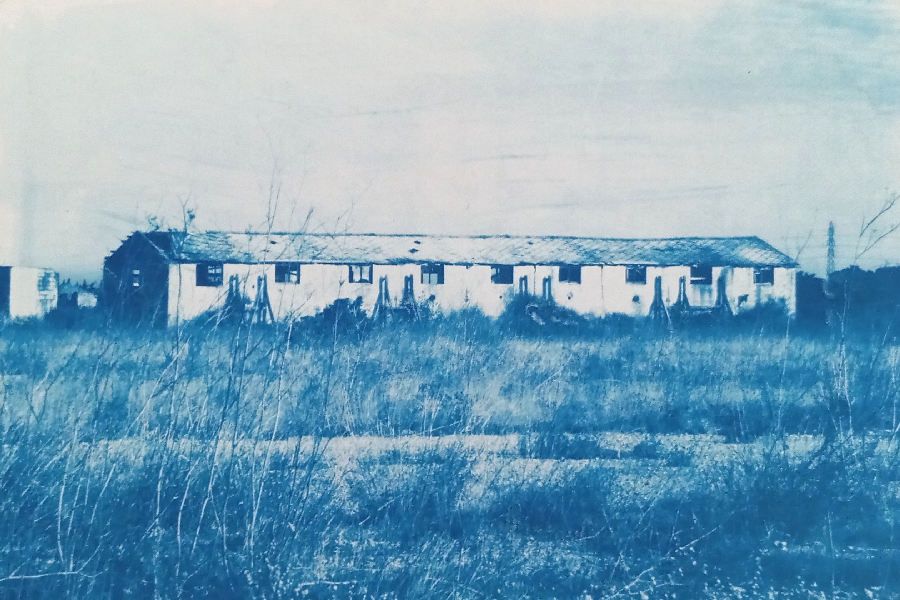 cyanotype paysage camp rivesaltes