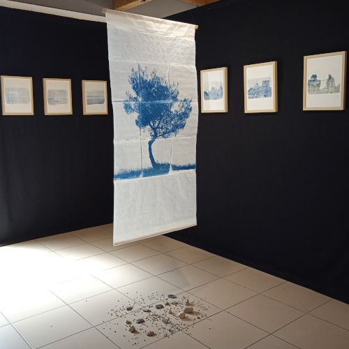 cyanotype salon décoration d'intérieur